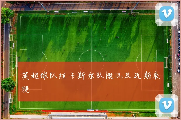 英超球队纽卡斯尔队概况及近期表现