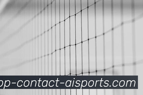 爱体育APP发展历程